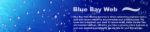 web hosting web hosting